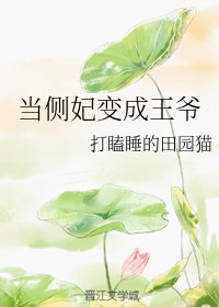 当侧妃变成王爷