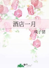 酒店一月